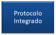 105 cone Protocolo Integrado
